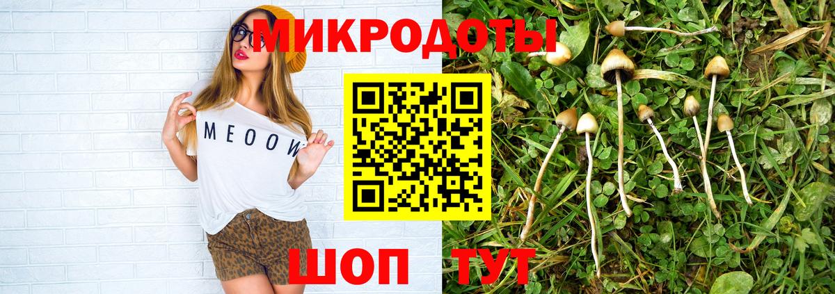 Псилоцибиновые грибы Magic Shrooms  Галлюциногенные грибы GOLDEN TEACHER  Тара  Вход с VPN 
